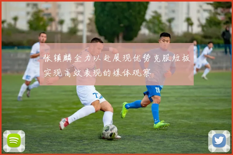 张镇麟全力以赴展现优势克服短板实现高效表现的媒体观察