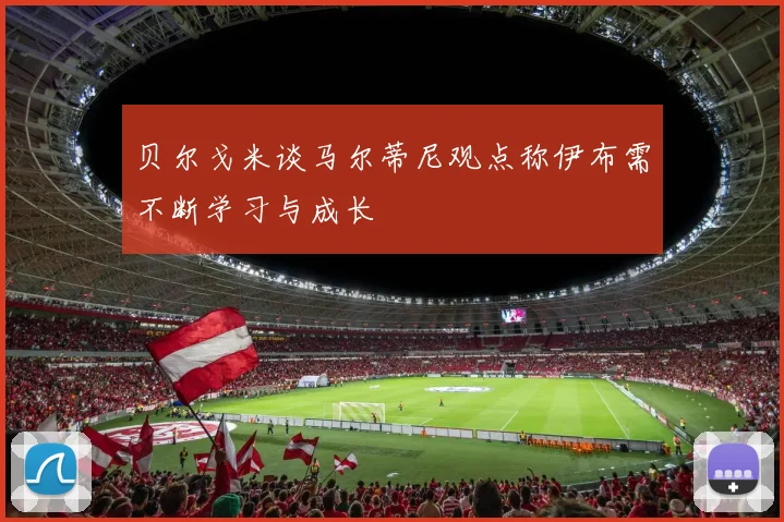 贝尔戈米谈马尔蒂尼观点称伊布需不断学习与成长